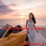 Soi Cầu Dàn Đề 3 Càng Khung 7 Ngày