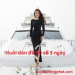 Nuôi dàn đề 50 số 3 ngày chuẩn