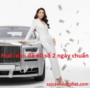 Nuôi dàn đề 60 số 2 ngày chuẩn